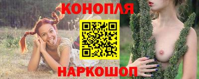 индика Ставрополь