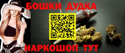 индика Ставрополь