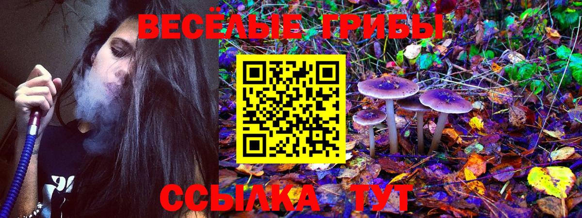 Псилоцибиновые грибы мицелий  Галлюциногенные грибы Psilocybine cubensis  Новороссийск  Вход с VPN 