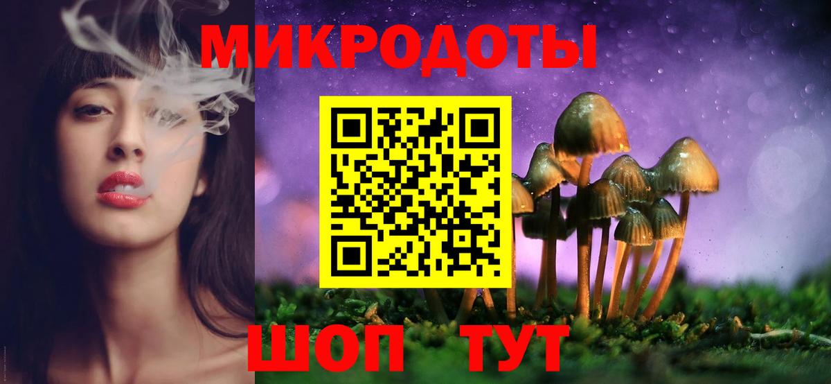 Псилоцибиновые грибы мухоморы Новороссийск